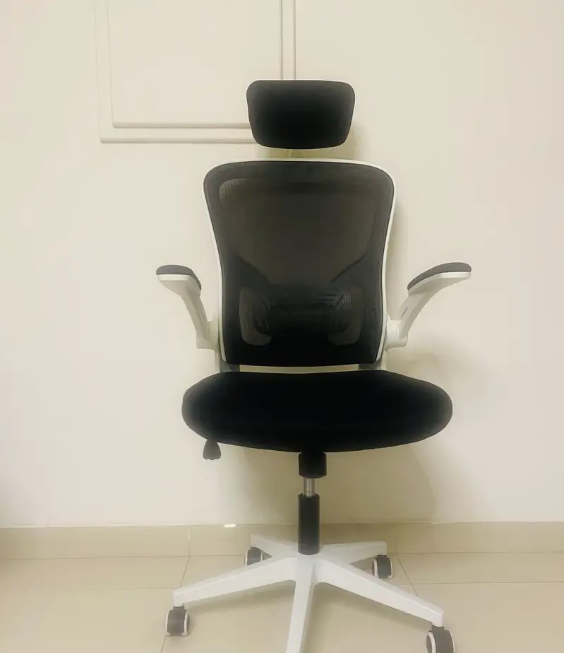 Image 2