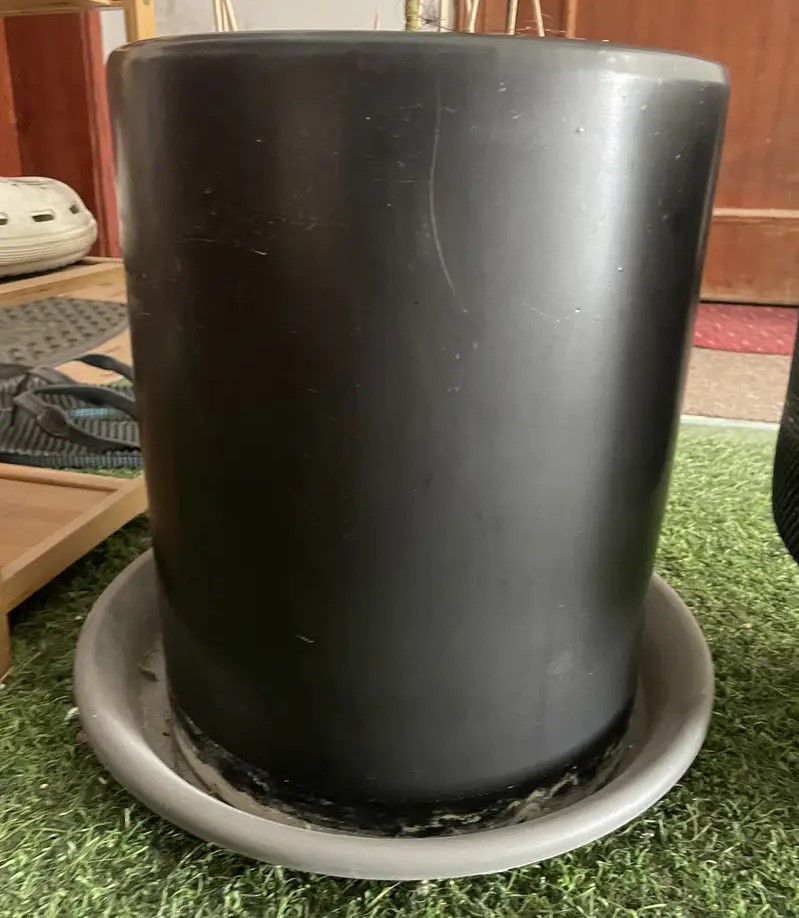 Vase For Plants