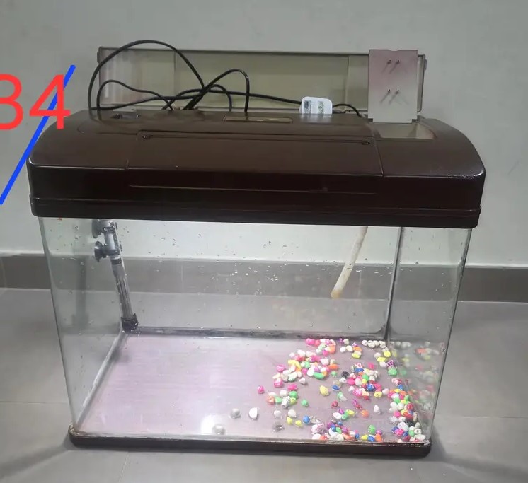 Fish Tank Good Condition