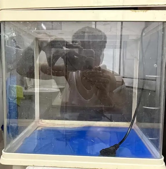 Fish Aquariums For 5bd Each